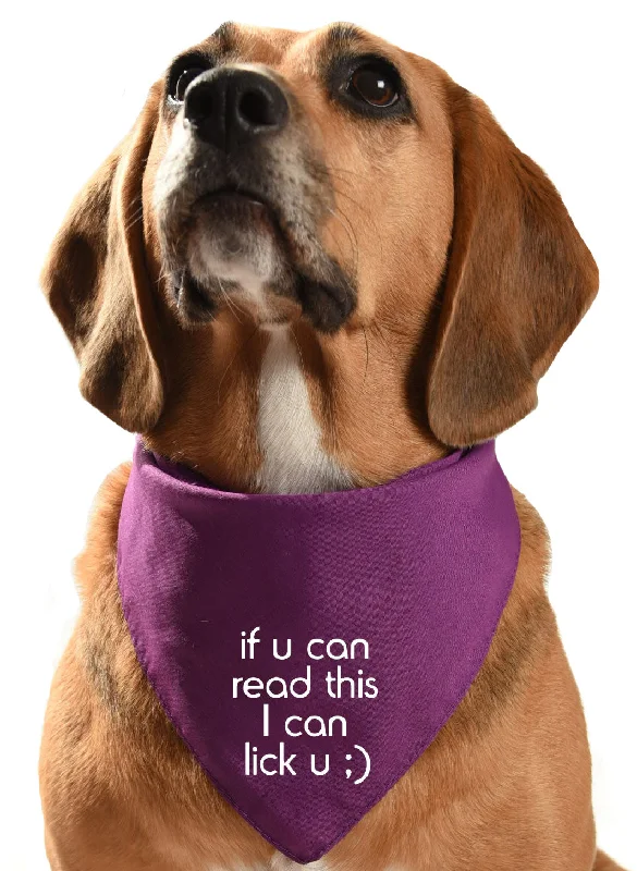 If u can read this I can lick u - dog bandana