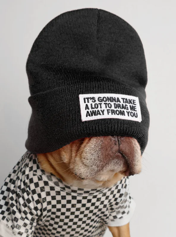 Pet Halloween clothesDrag Me Away Beanie