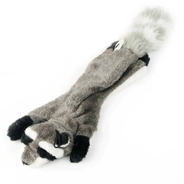 Raccoon