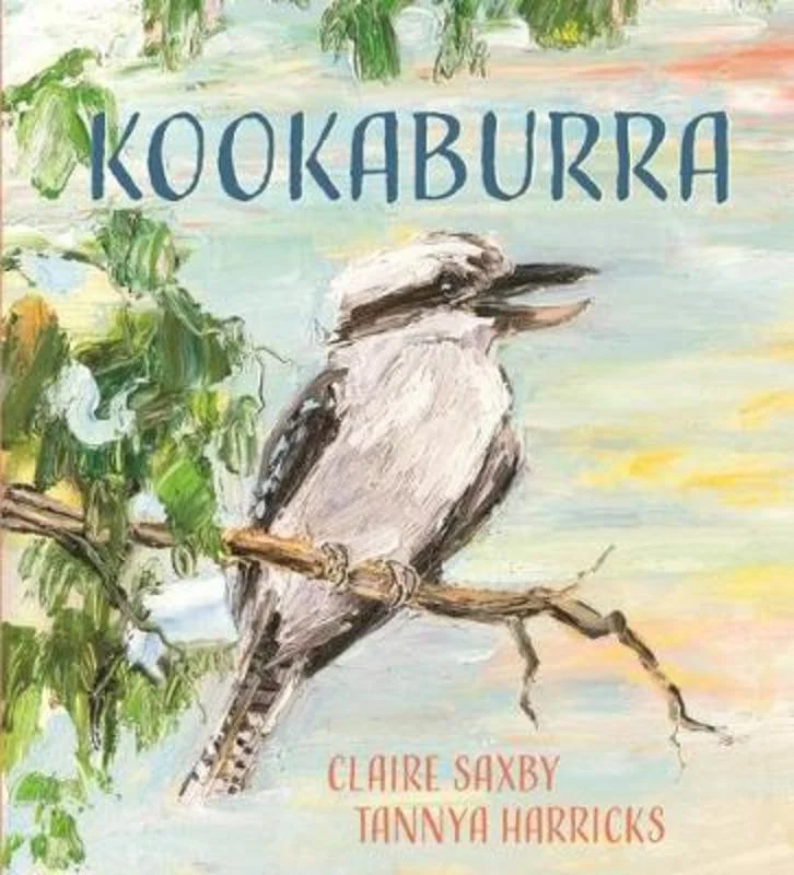 - Postoperative pet anti-licking Elizabethan collarKookaburra