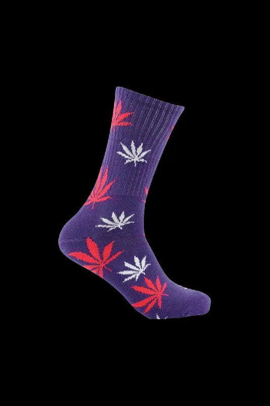 Purple / Pink