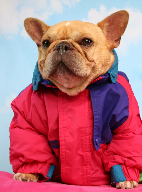 Pet raincoatYukon Potato Vintage Jacket