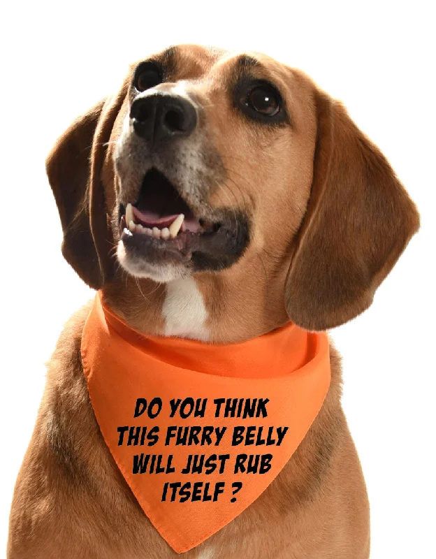 Do you think this furry belly will just rub itself? dog bandana