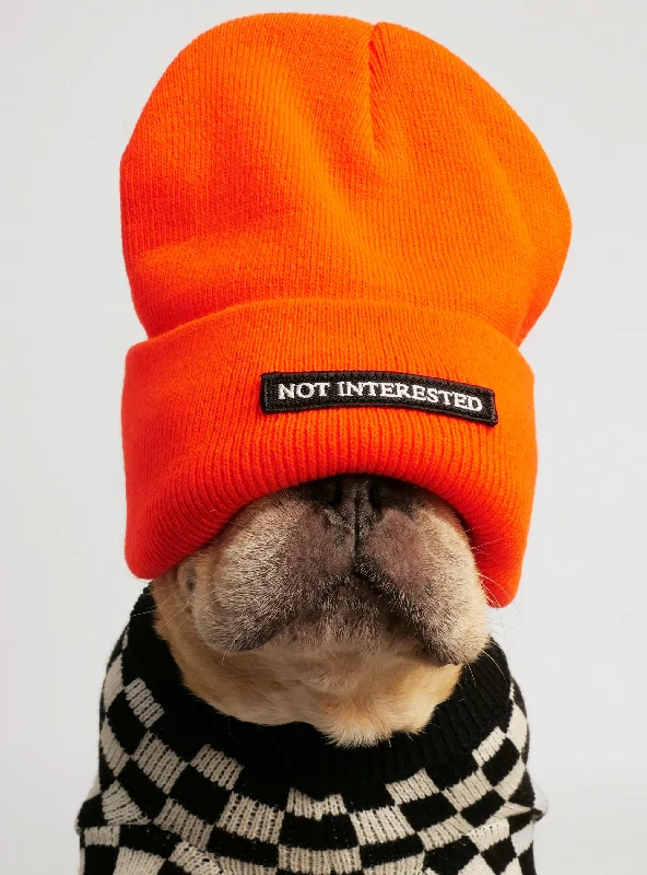 Non-toxic pet clothesNot Interested Beanie