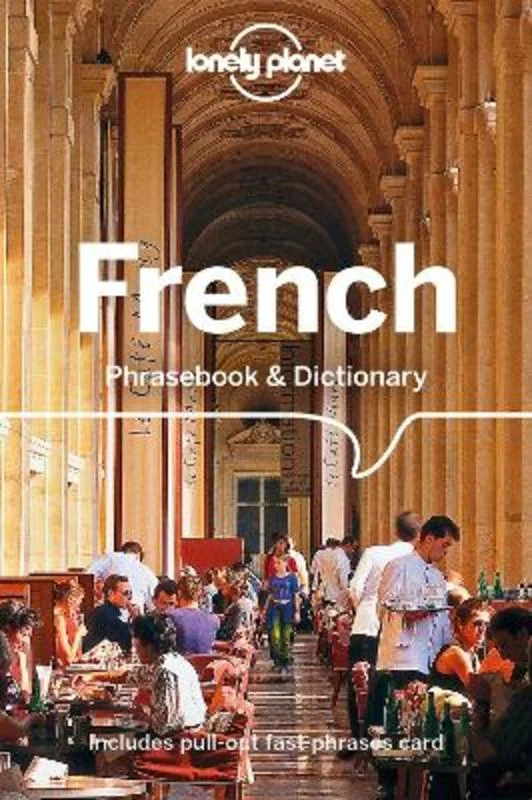  -Anti-scratch scratching board AND cat bed in oneLonely Planet French Phrasebook & Dictionary