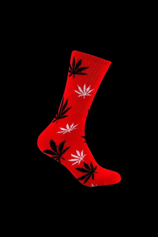 Red / Black