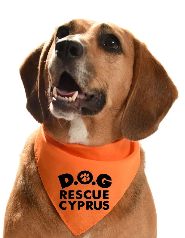 Dali Dog Rescue Cyprus fundraising dog bandana