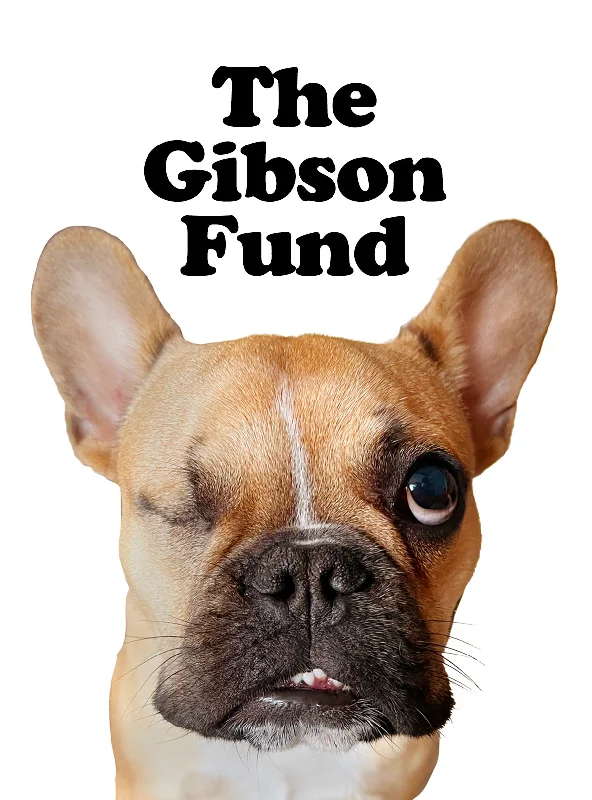 Pet easy-to-wear and take-off design clothesThe Gibson Fund