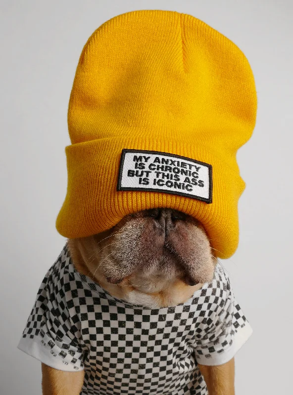 Pet rehabilitation recovery clothes (such as post-operative clothes)My Anxiety Is Chronic Beanie