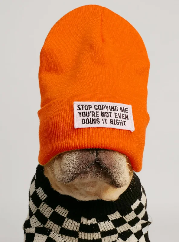 Pet Christmas clothesStop Copying Me Beanie