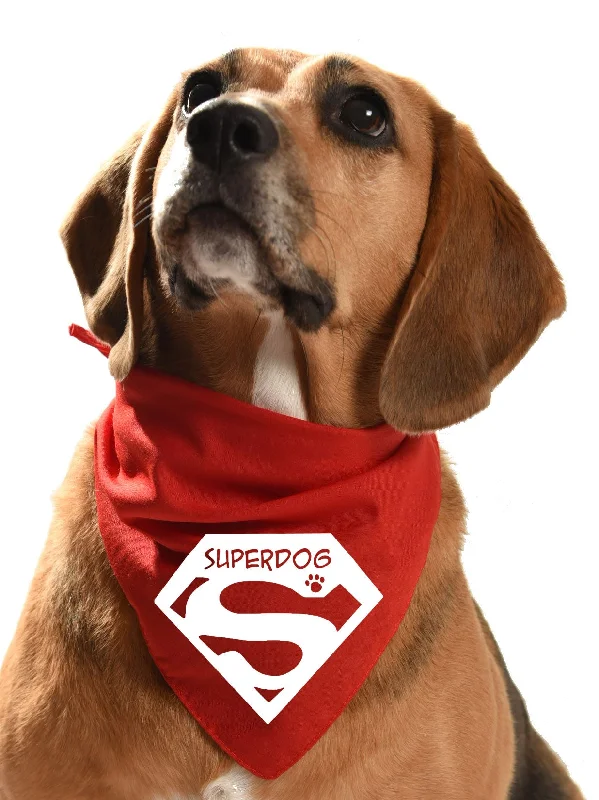 Superdog - Super man dog bandana