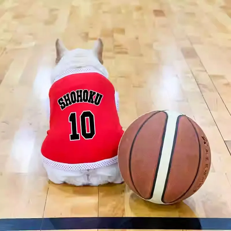 Basketball Jersey 10