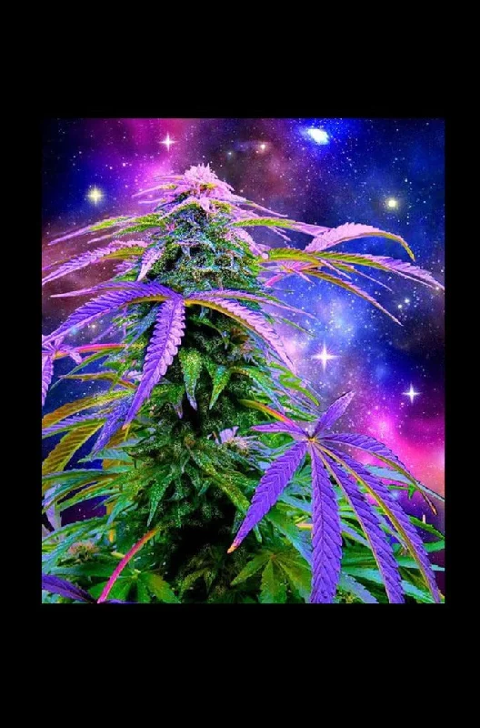 - ​​Pet toys under    yuanCosmic Weed Plush Fleece Blanket