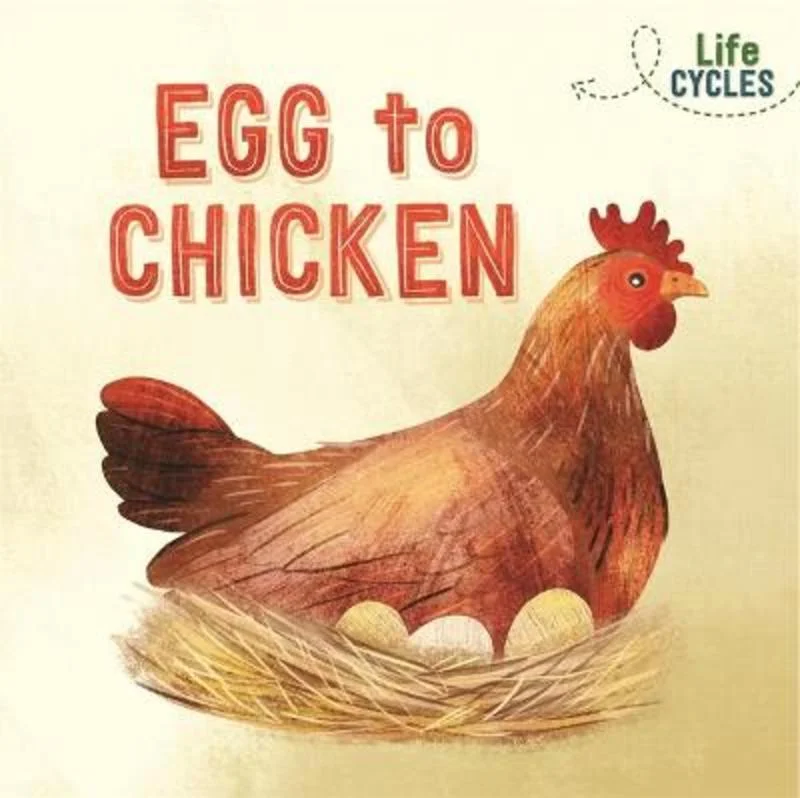 - Natural latex pet mattressLife Cycles: Egg to Chicken