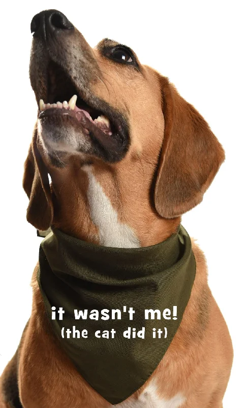 It wasn't me, the cat did it - dog bandana