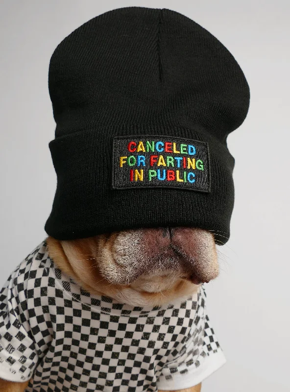 Pet night clothes with LED lightsCanceled For Farting In Public Beanie